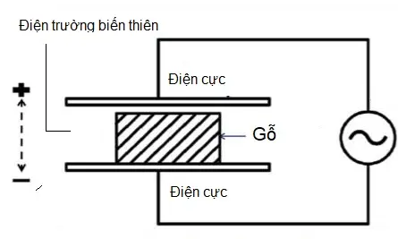 Nguyên Lý Hoạt Động Máy Ghép Gỗ Cao Tần | SMHF